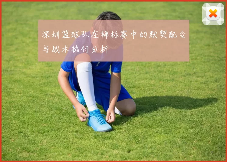 深圳篮球队在锦标赛中的默契配合与战术执行分析