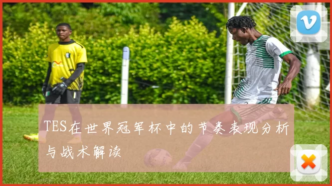 TES在世界冠军杯中的节奏表现分析与战术解读