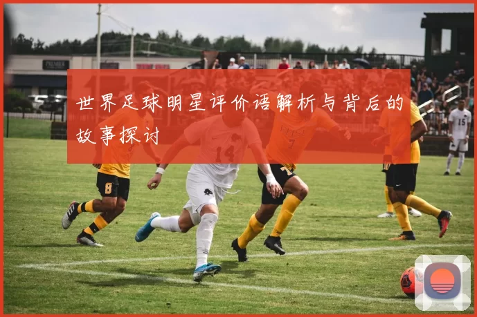 世界足球明星评价语解析与背后的故事探讨