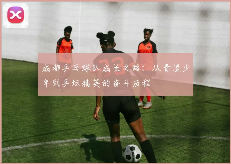 成都乒乓球队成长之路：从青涩少年到乒坛精英的奋斗历程